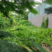 ﻿Bán đất Vườn Lài Phường An Phú Đông QUẬN 12, ngan 7m, Hẻm Ôtô, giá chỉ 11.5 tỷ